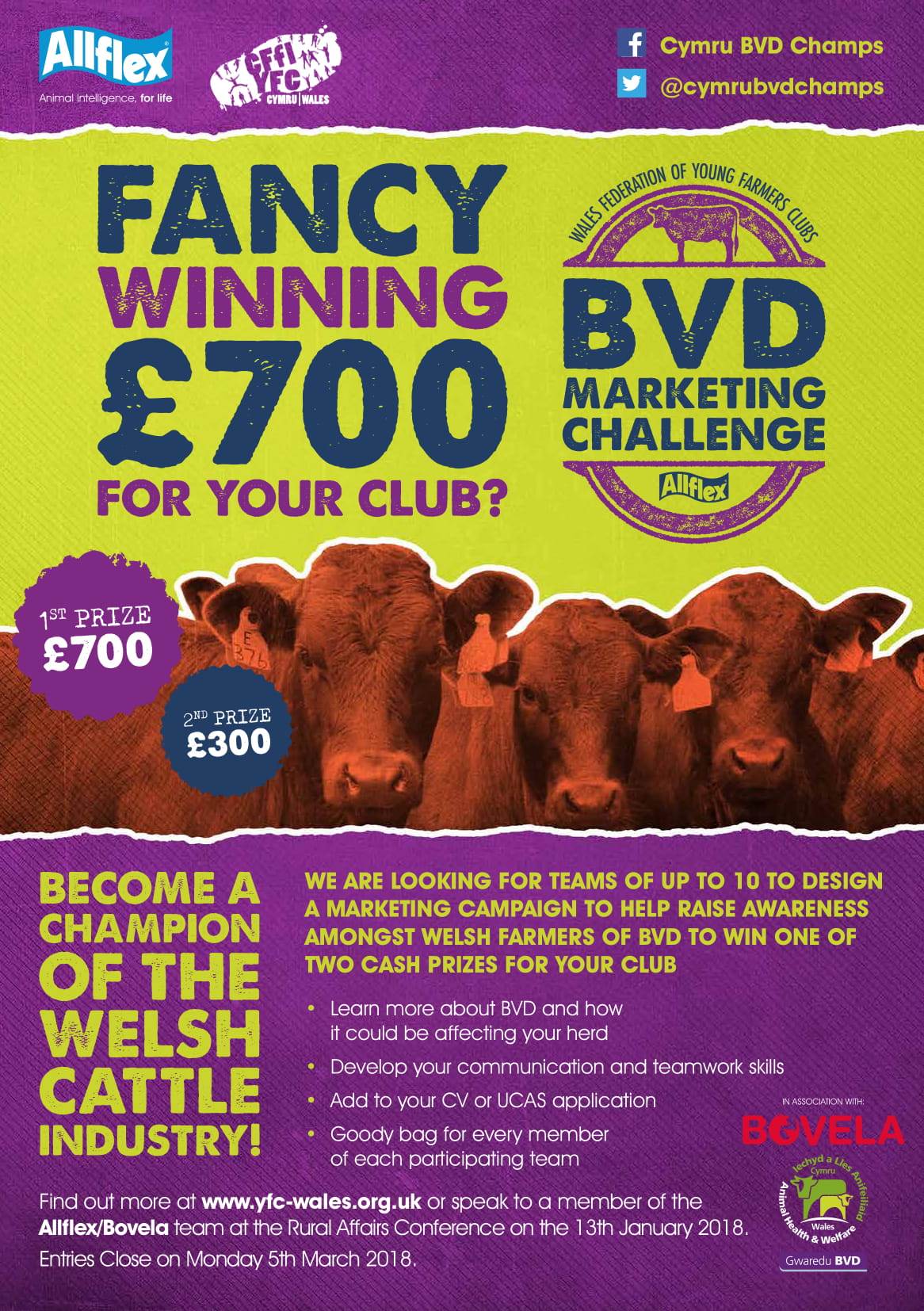BVD Marketing Challence BVD Marketing Challence