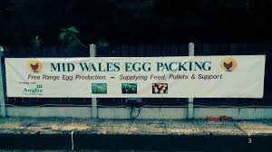 mid wales egg paking mid wales egg paking